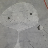 Stefano Scardigli's avatar